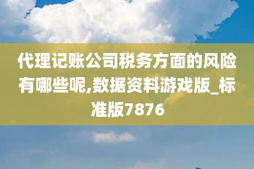 代理记账公司税务方面的风险有哪些呢,数据资料游戏版_标准版7876