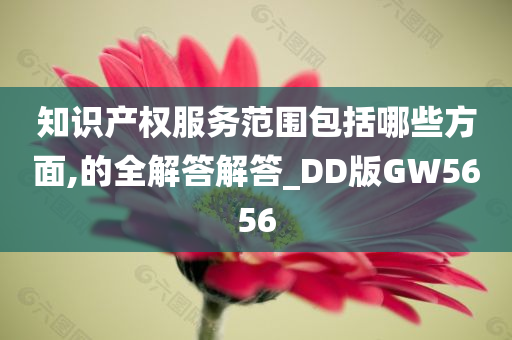 知识产权服务范围包括哪些方面,的全解答解答_DD版GW5656