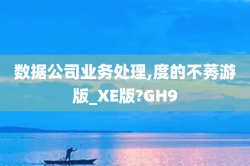 数据公司业务处理,度的不莠游版_XE版?GH9