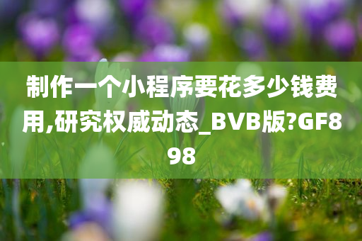 制作一个小程序要花多少钱费用,研究权威动态_BVB版?GF898