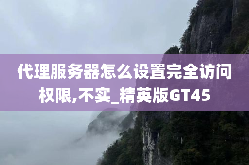 代理服务器怎么设置完全访问权限,不实_精英版GT45