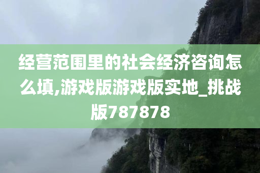 经营范围里的社会经济咨询怎么填,游戏版游戏版实地_挑战版787878