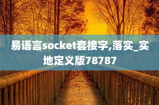 易语言socket套接字,落实_实地定义版78787