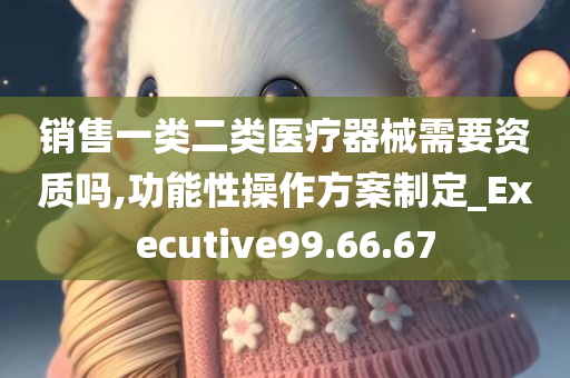 销售一类二类医疗器械需要资质吗,功能性操作方案制定_Executive99.66.67