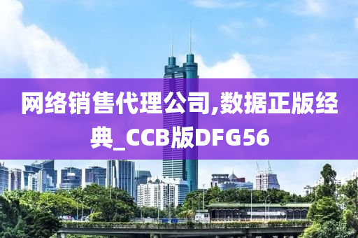 网络销售代理公司,数据正版经典_CCB版DFG56