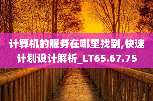 计算机的服务在哪里找到,快速计划设计解析_LT65.67.75