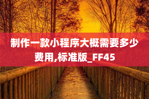 制作一款小程序大概需要多少费用,标准版_FF45