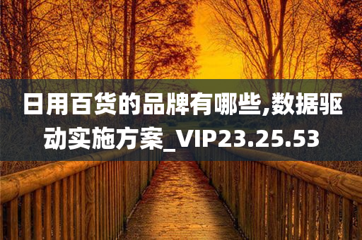 日用百货的品牌有哪些,数据驱动实施方案_VIP23.25.53