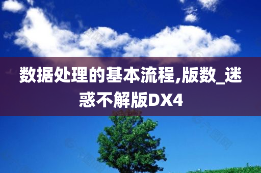 数据处理的基本流程,版数_迷惑不解版DX4