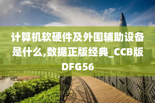 计算机软硬件及外围辅助设备是什么,数据正版经典_CCB版DFG56