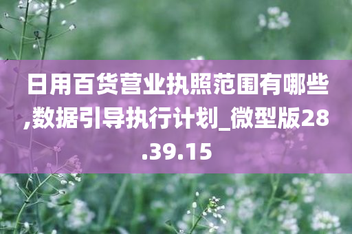 日用百货营业执照范围有哪些,数据引导执行计划_微型版28.39.15