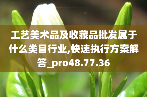 工艺美术品及收藏品批发属于什么类目行业,快速执行方案解答_pro48.77.36