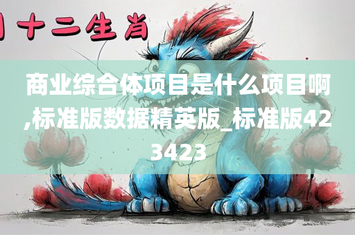 商业综合体项目是什么项目啊,标准版数据精英版_标准版423423