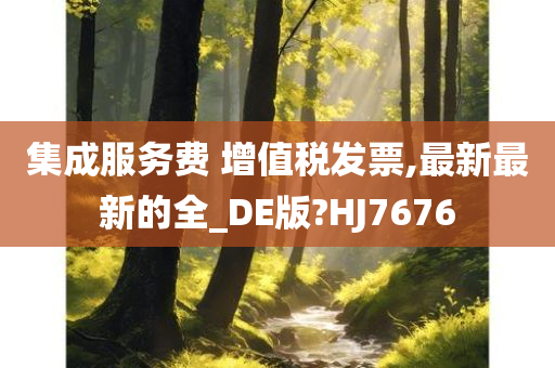 集成服务费 增值税发票,最新最新的全_DE版?HJ7676