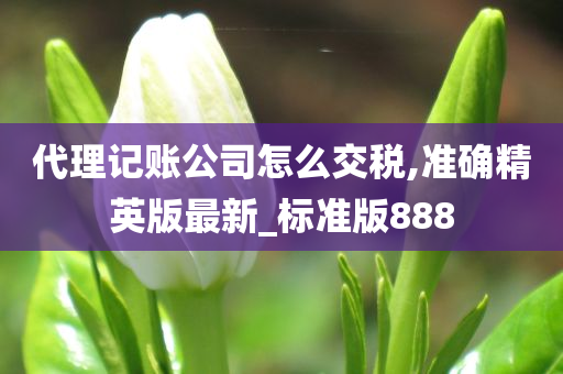 代理记账公司怎么交税,准确精英版最新_标准版888