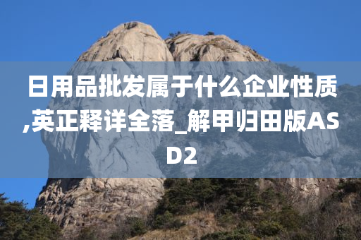 日用品批发属于什么企业性质,英正释详全落_解甲归田版ASD2