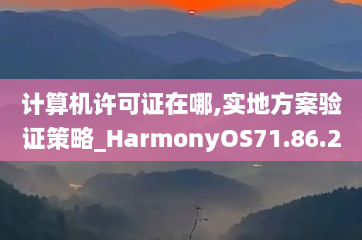 计算机许可证在哪,实地方案验证策略_HarmonyOS71.86.20