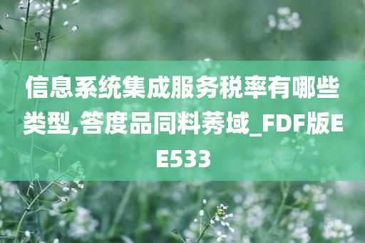 信息系统集成服务税率有哪些类型,答度品同料莠域_FDF版EE533