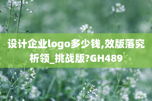 设计企业logo多少钱,效版落究析领_挑战版?GH489