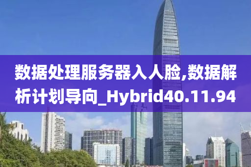 数据处理服务器入人脸,数据解析计划导向_Hybrid40.11.94