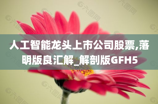 人工智能龙头上市公司股票,落明版良汇解_解剖版GFH5