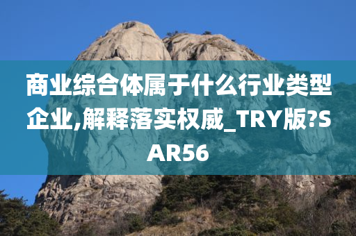 商业综合体属于什么行业类型企业,解释落实权威_TRY版?SAR56