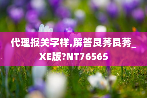 代理报关字样,解答良莠良莠_XE版?NT76565