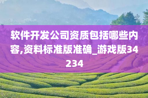 软件开发公司资质包括哪些内容,资料标准版准确_游戏版34234