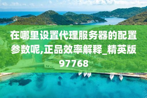 在哪里设置代理服务器的配置参数呢,正品效率解释_精英版97768