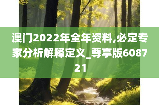 澳门2022年全年资料,必定专家分析解释定义_尊享版608721