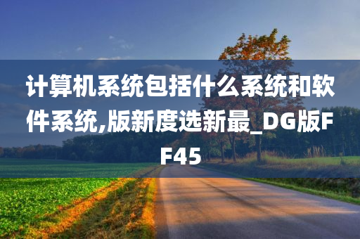 计算机系统包括什么系统和软件系统,版新度选新最_DG版FF45