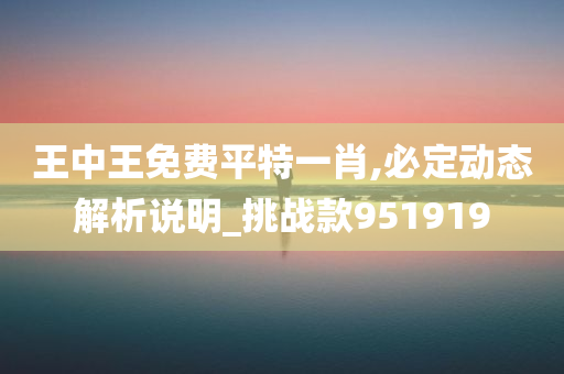 王中王免费平特一肖,必定动态解析说明_挑战款951919