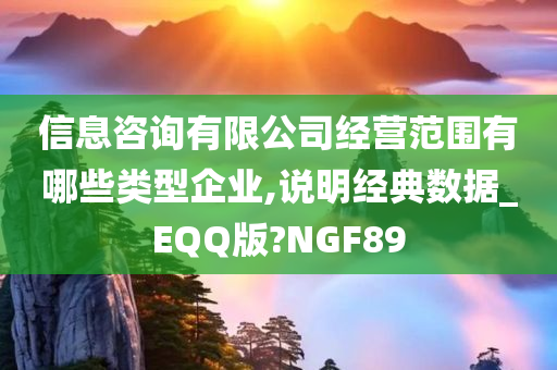 信息咨询有限公司经营范围有哪些类型企业,说明经典数据_EQQ版?NGF89