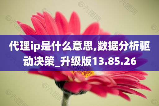 代理ip是什么意思,数据分析驱动决策_升级版13.85.26