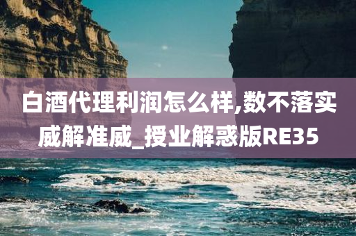 白酒代理利润怎么样,数不落实威解准威_授业解惑版RE35