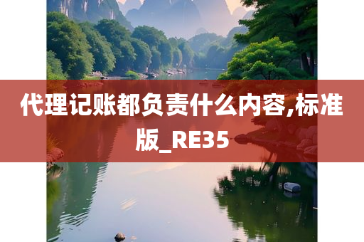 代理记账都负责什么内容,标准版_RE35