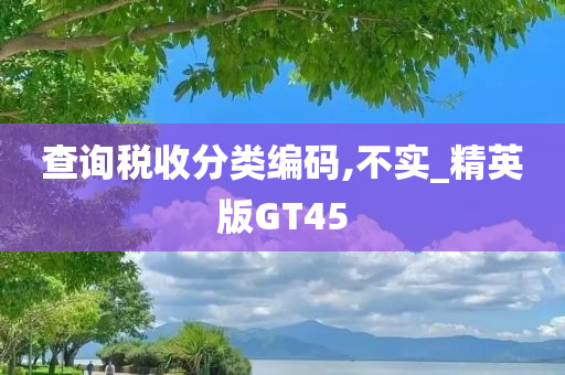 查询税收分类编码,不实_精英版GT45