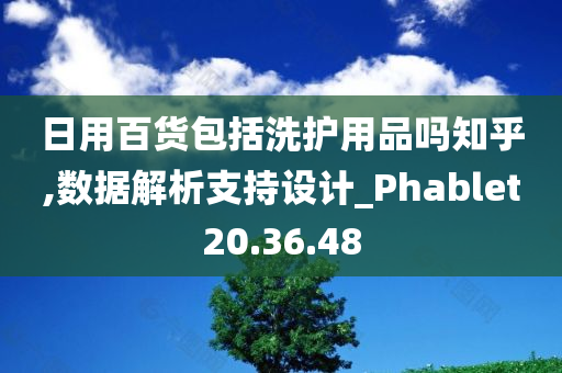 日用百货包括洗护用品吗知乎,数据解析支持设计_Phablet20.36.48