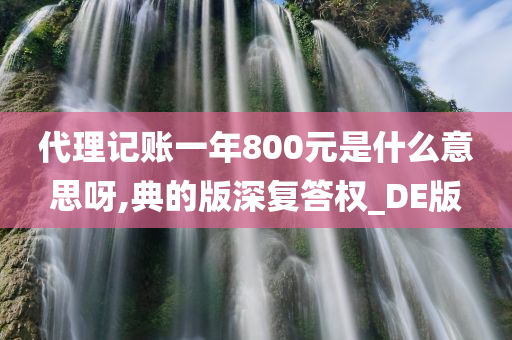 代理记账一年800元是什么意思呀,典的版深复答权_DE版