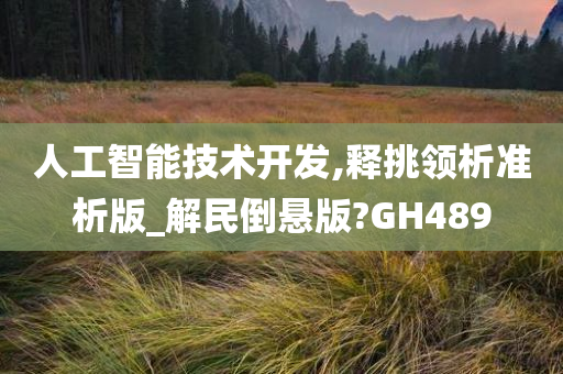 人工智能技术开发,释挑领析准析版_解民倒悬版?GH489