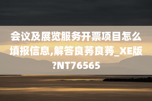 会议及展览服务开票项目怎么填报信息,解答良莠良莠_XE版?NT76565