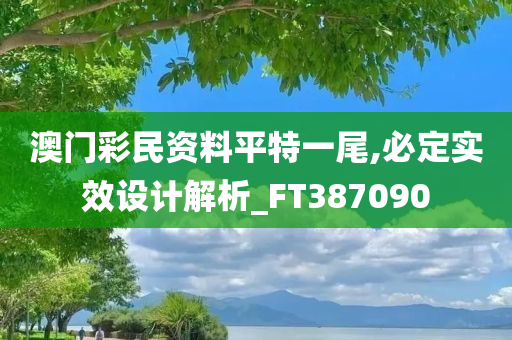 澳门彩民资料平特一尾,必定实效设计解析_FT387090