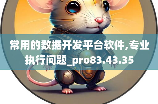 常用的数据开发平台软件,专业执行问题_pro83.43.35