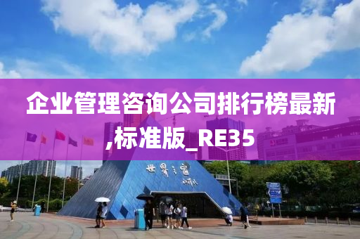 企业管理咨询公司排行榜最新,标准版_RE35