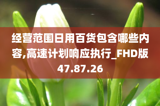 经营范围日用百货包含哪些内容,高速计划响应执行_FHD版47.87.26