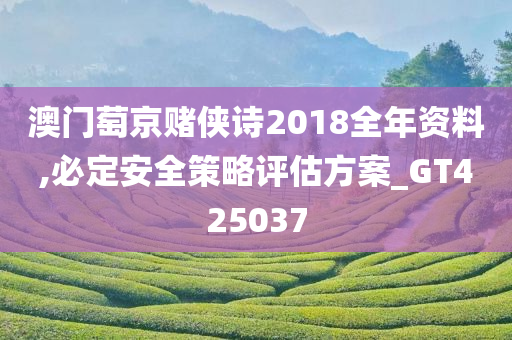 澳门萄京赌侠诗2018全年资料,必定安全策略评估方案_GT425037