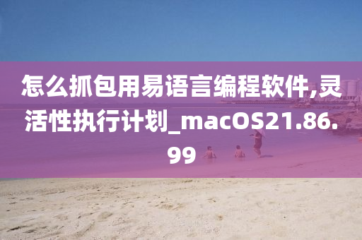 怎么抓包用易语言编程软件,灵活性执行计划_macOS21.86.99