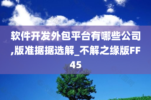 软件开发外包平台有哪些公司,版准据据选解_不解之缘版FF45