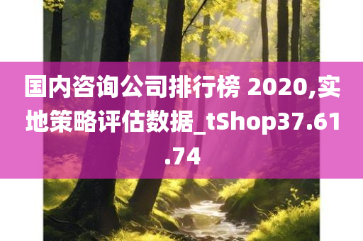 国内咨询公司排行榜 2020,实地策略评估数据_tShop37.61.74