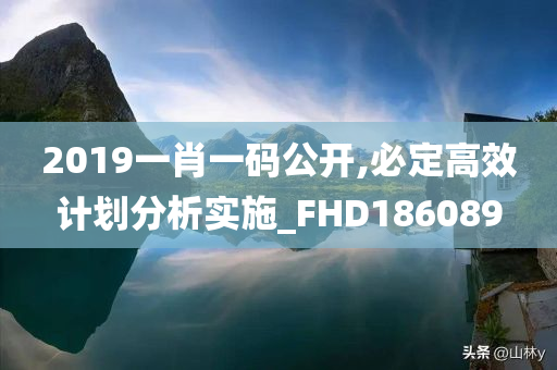 2019一肖一码公开,必定高效计划分析实施_FHD186089